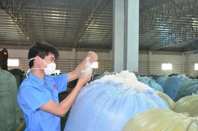 吳川市精準服務(wù)上市后備的羽絨企業(yè)