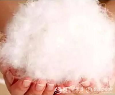 羽絨和羽絨棉的區別