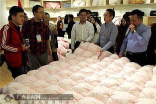 全國網媒聚焦中國羽絨之鄉 港南橋圩羽絨及制品加工發展新格局